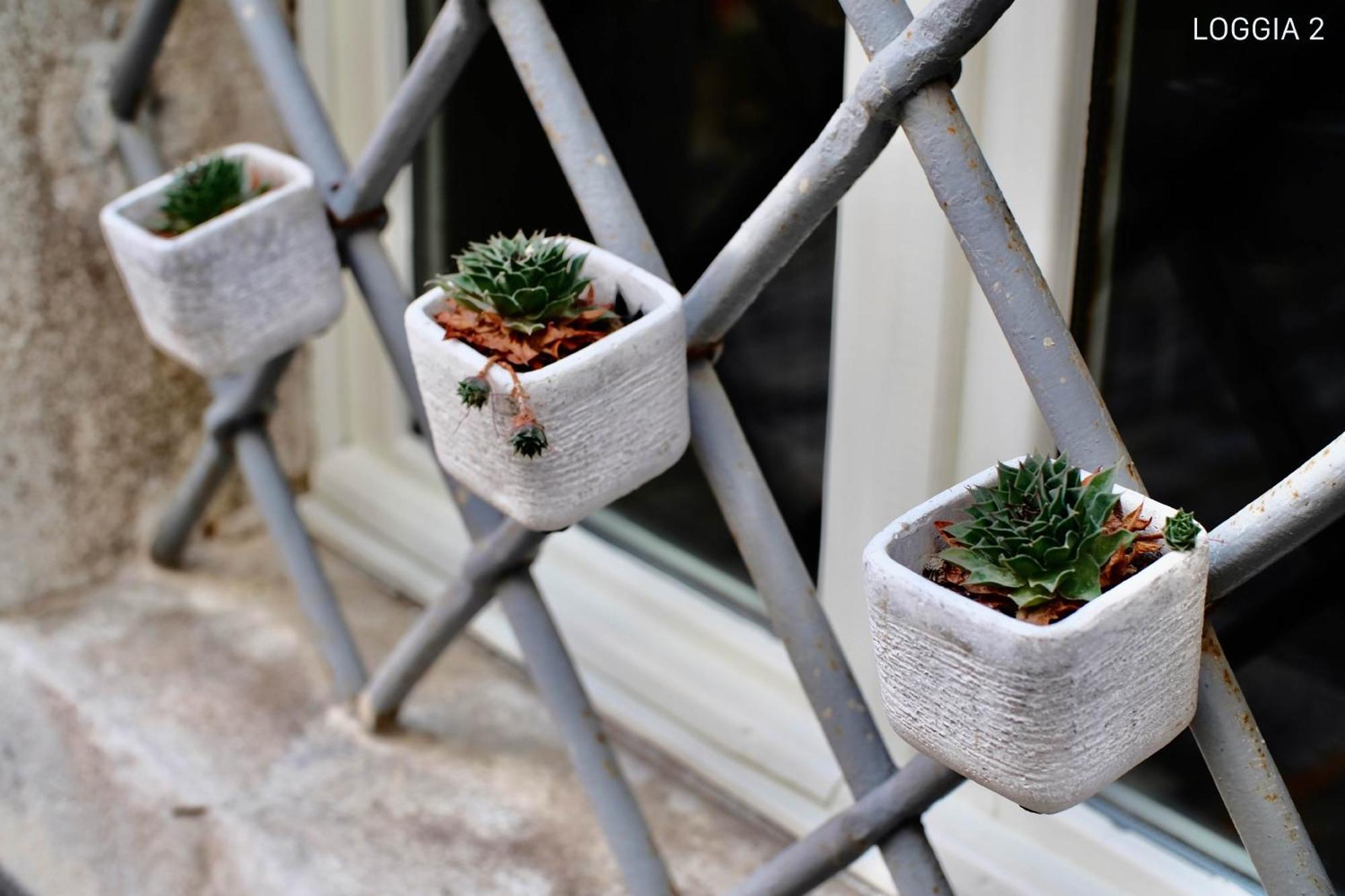 Loggia * Motovun