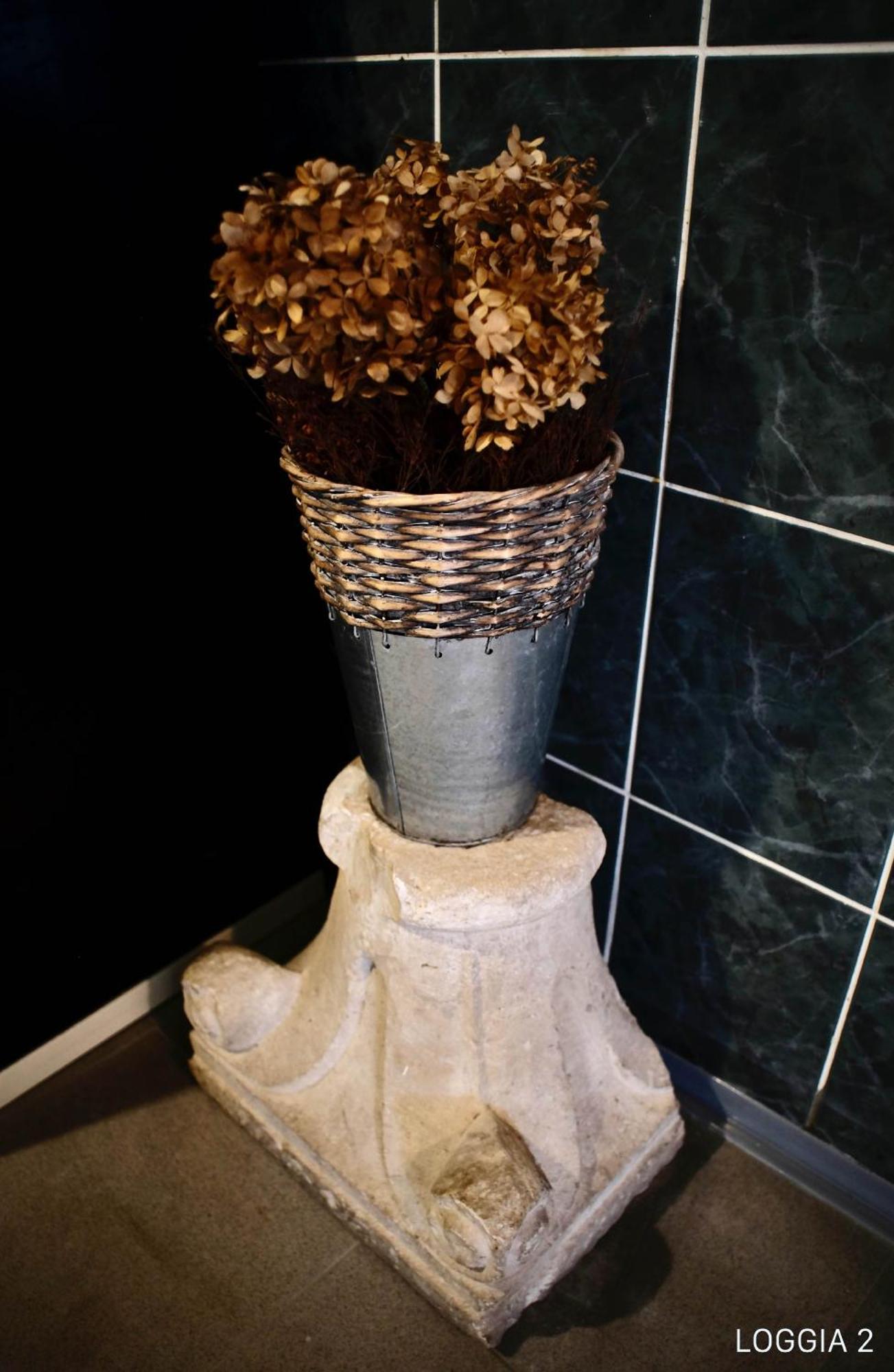 Loggia Apartment Motovun